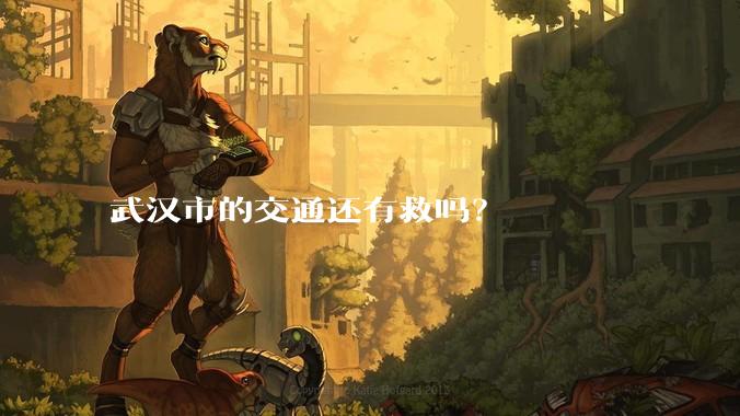 武汉市的交通还有救吗？